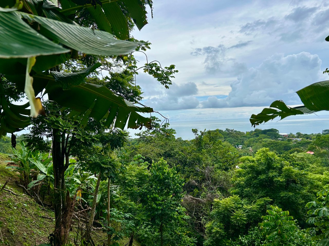 Ocean View Property in Playa Hermosa - Over 1 Acre