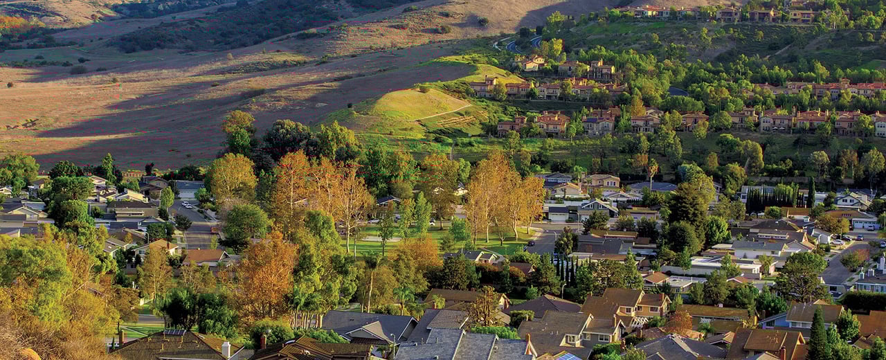 The Village of Turtle Rock