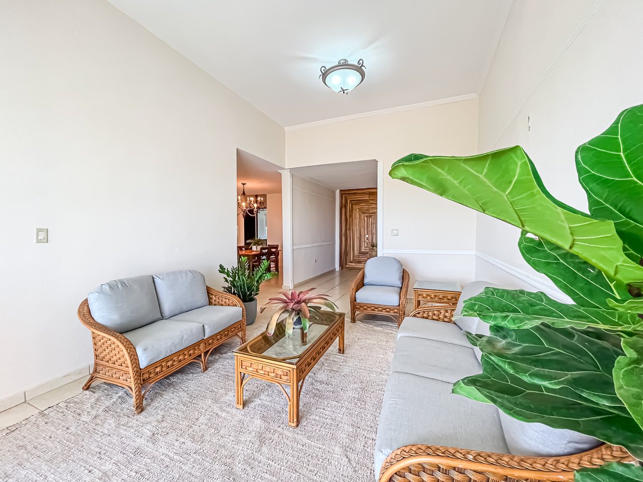 Royal Palm B-502
