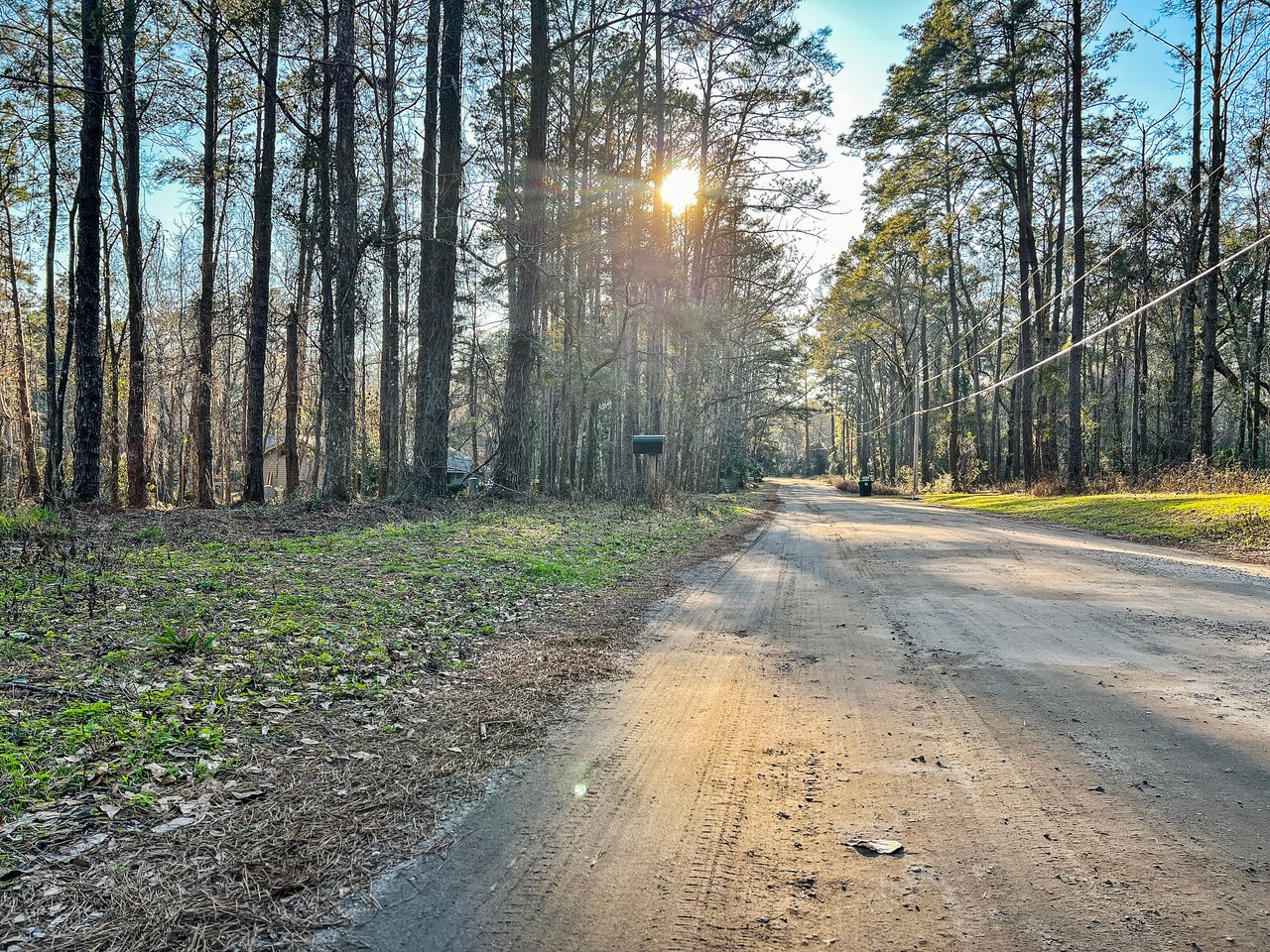 A serene dirt road lined with tall trees on a sunny day. Sunlight filters through branches, casting long shadows. The scene feels peaceful and inviting.