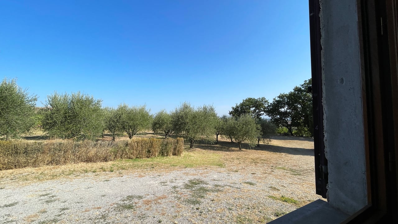AZIENDA VITIVINICOLA ASCIANELLO