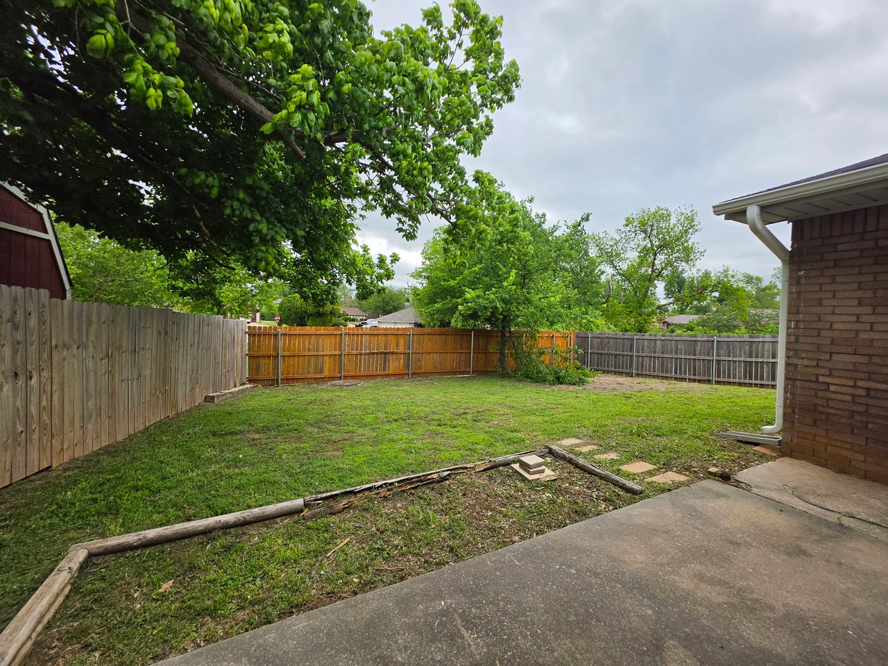 1 Red Oak 