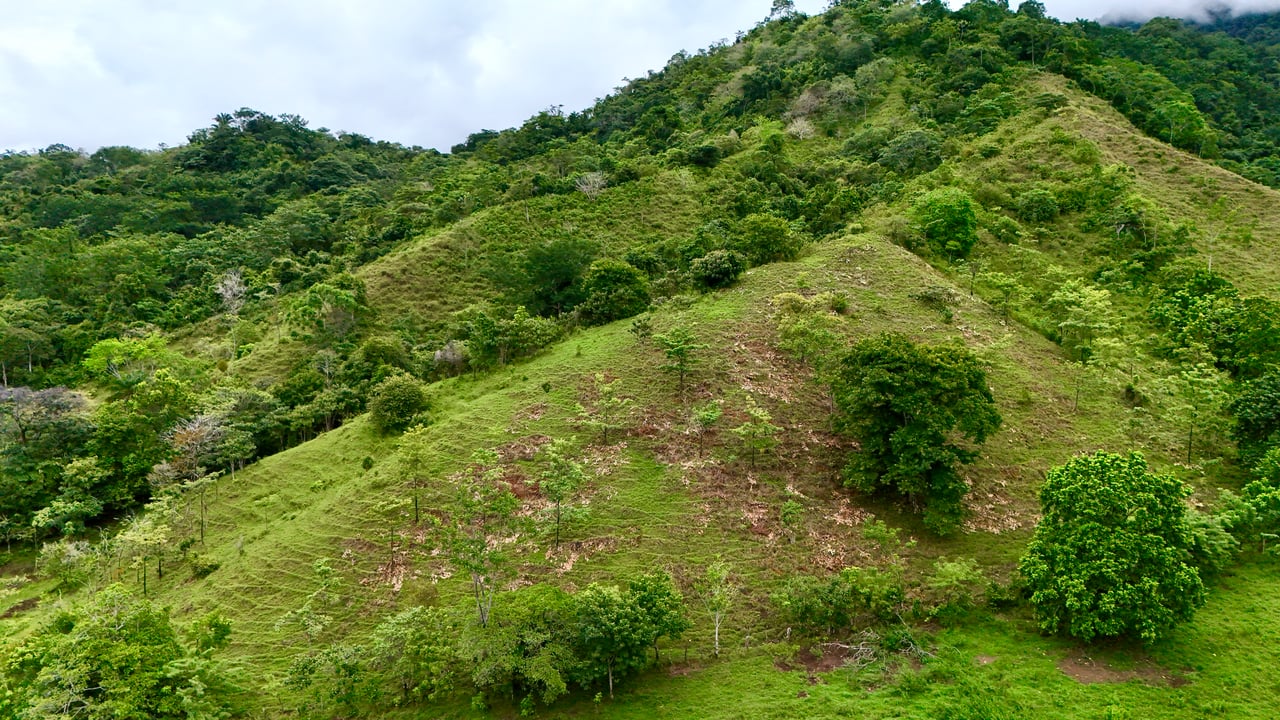 Ocean View Sanctuary in San Buenas – 4.94 Acres of Pastures & Easy Accessaccess