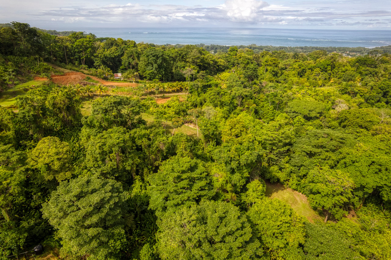 Sustainable Development Land, Uvita, Puntarenas