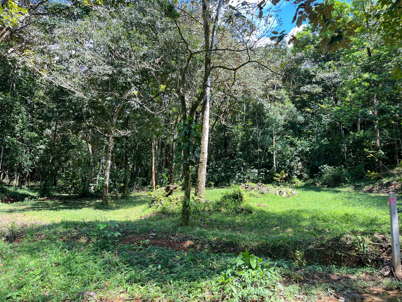 Tortuga Abajo Lot, Just before Ojochal.