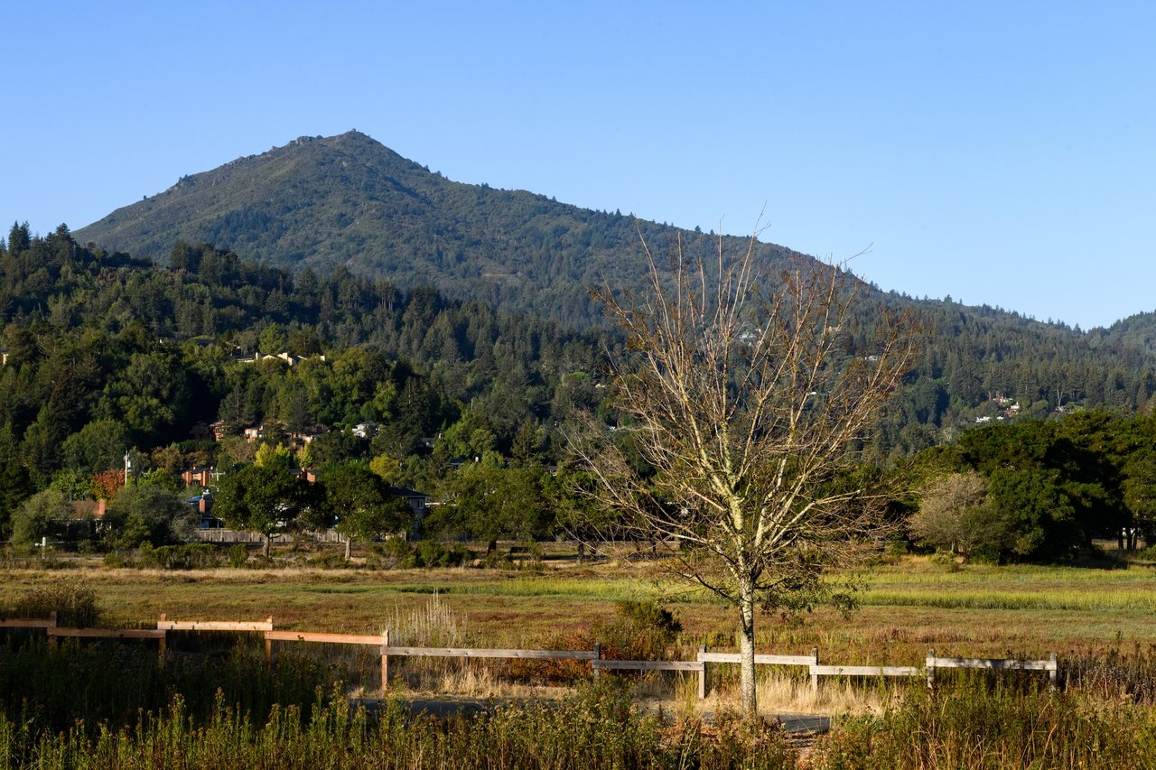 Kentfield's Mount Tamalpais open space and neighborhood trails