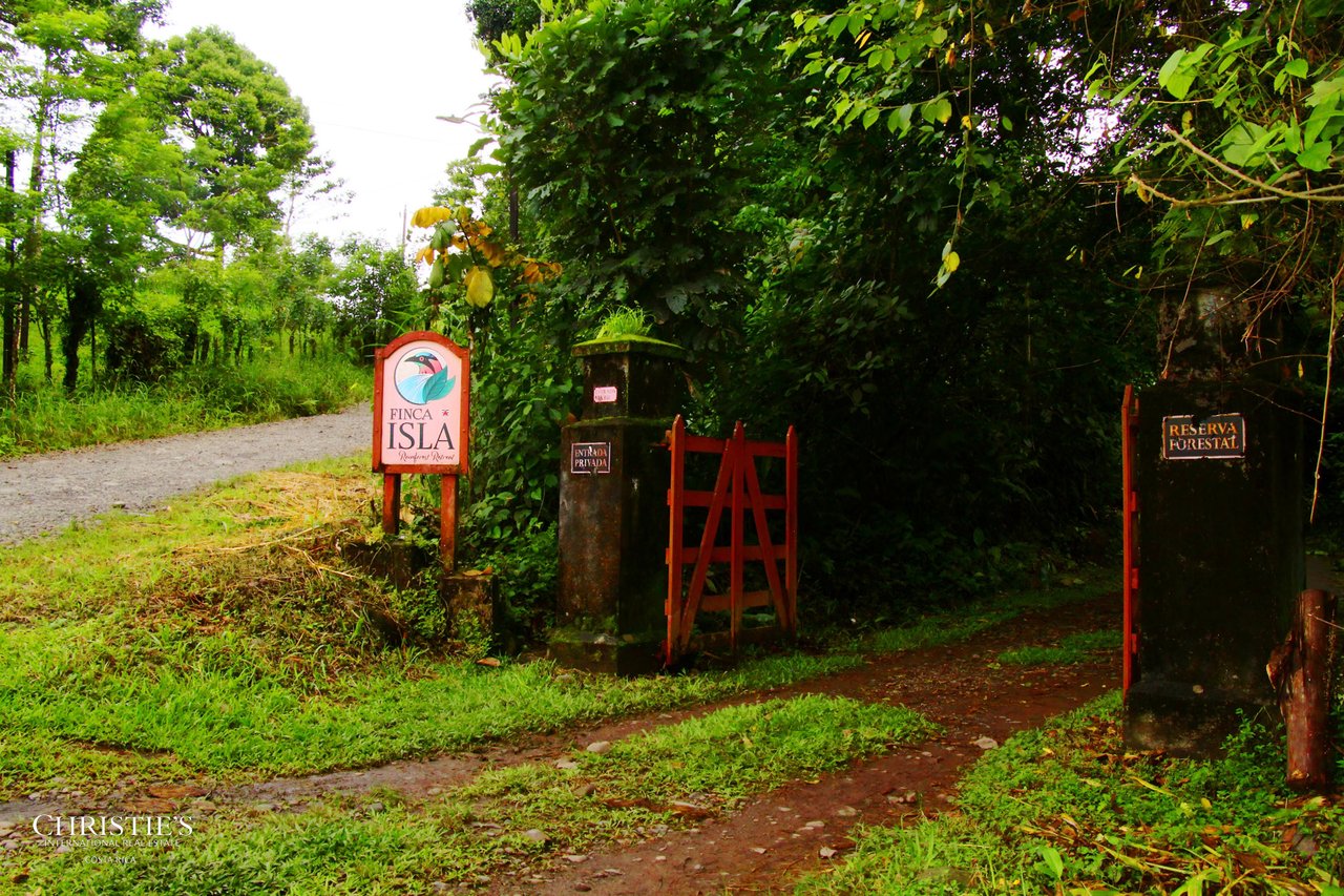 Finca Isla Rainforest Retreat – A Rare Income-Producing Paradise
