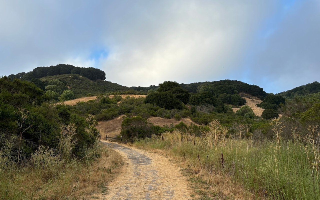 El Sobrante