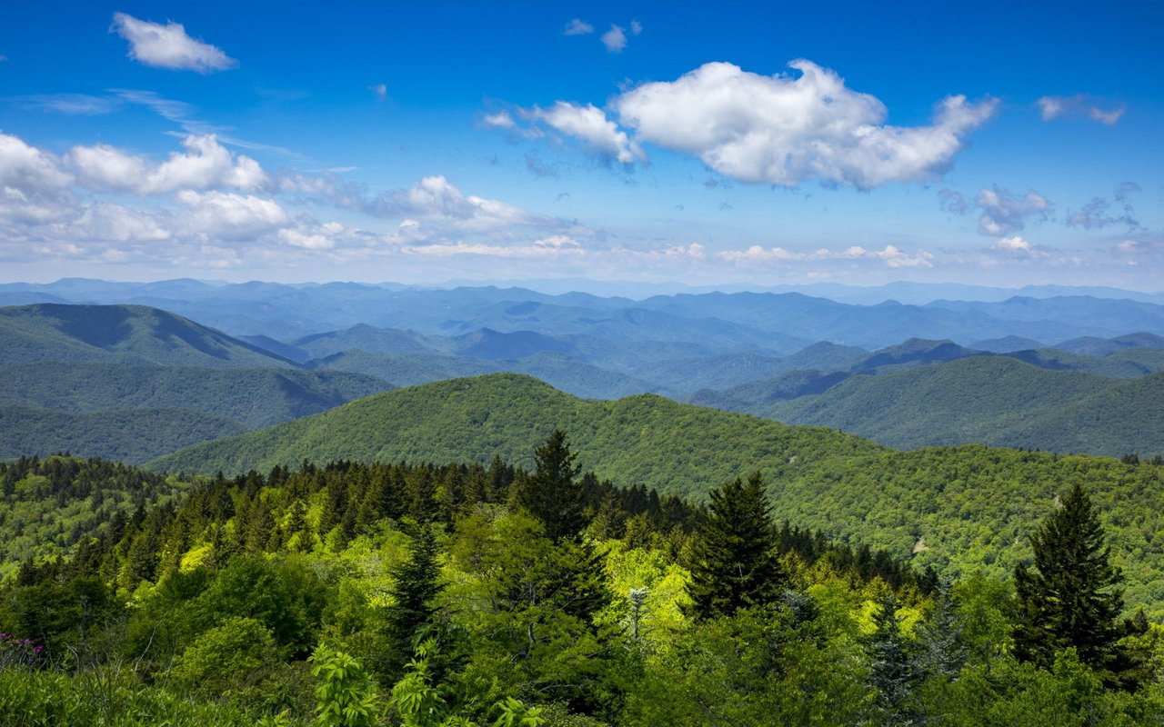 Sylva
