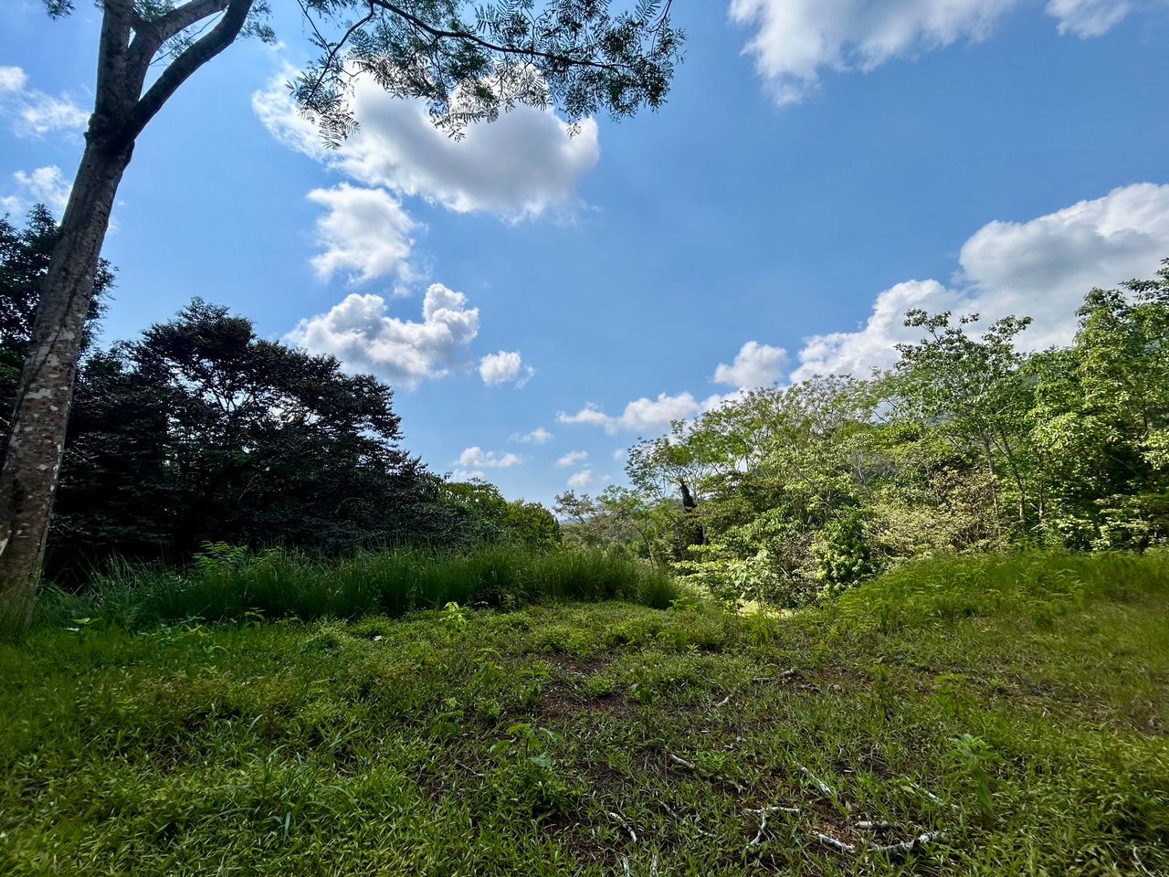 Beautiful Lot in Phase 9 Ojochal, Gated Communuity 