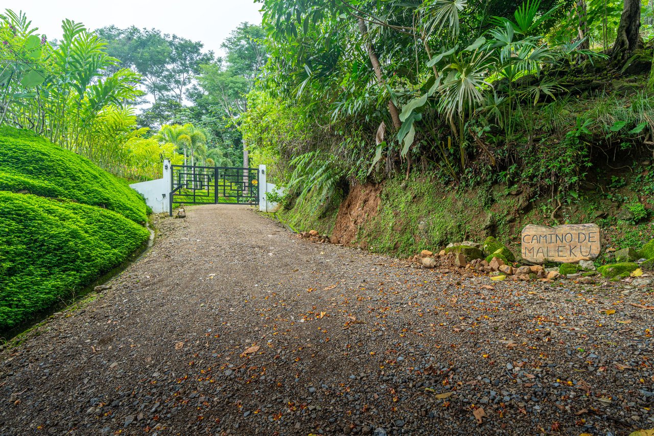 Luxury Ocean View Retreat Overlooking the Whale’s Tail – Proven Rental in Gated Enclave