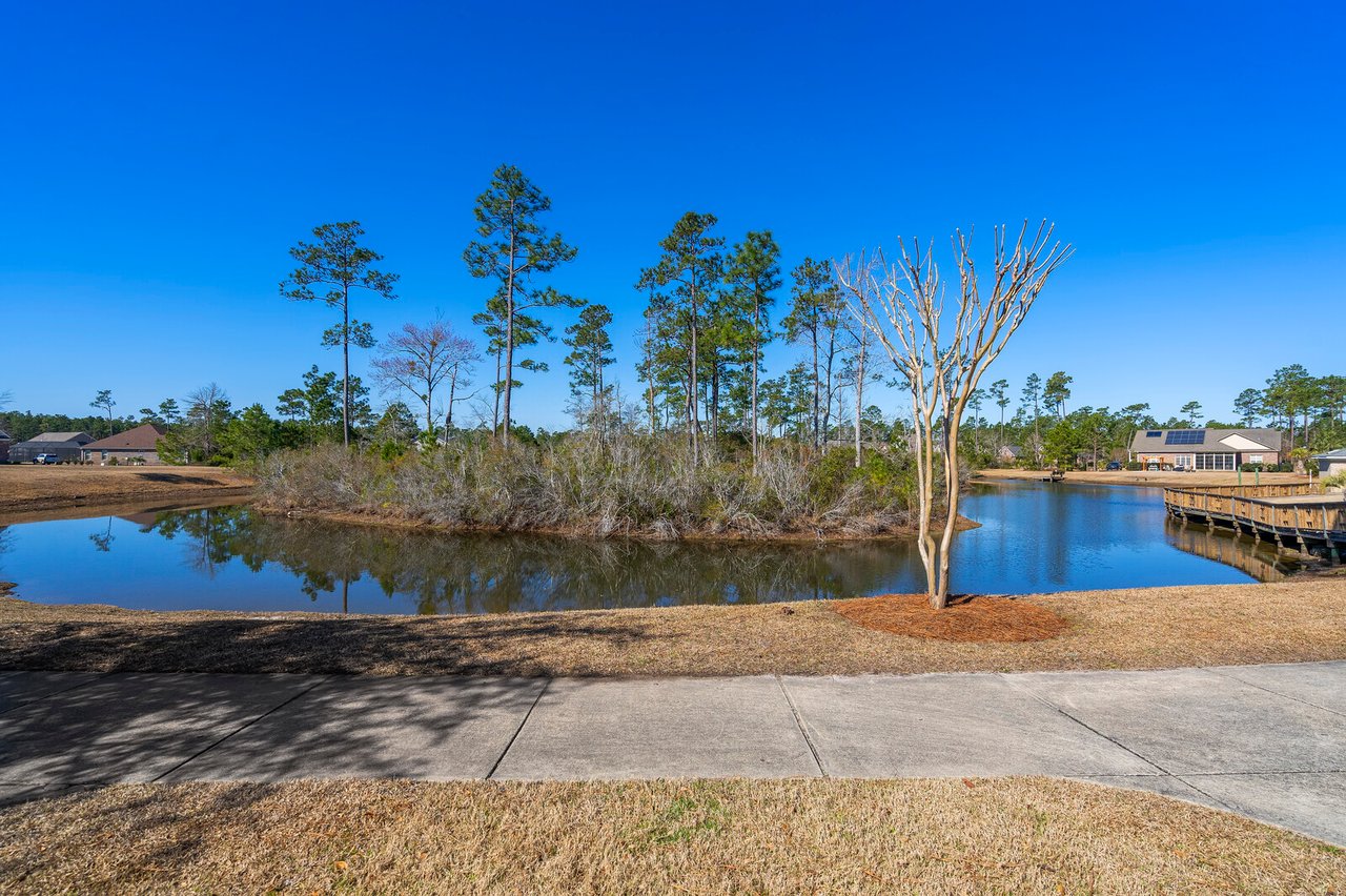 Palmetto Creek of the Carolinas