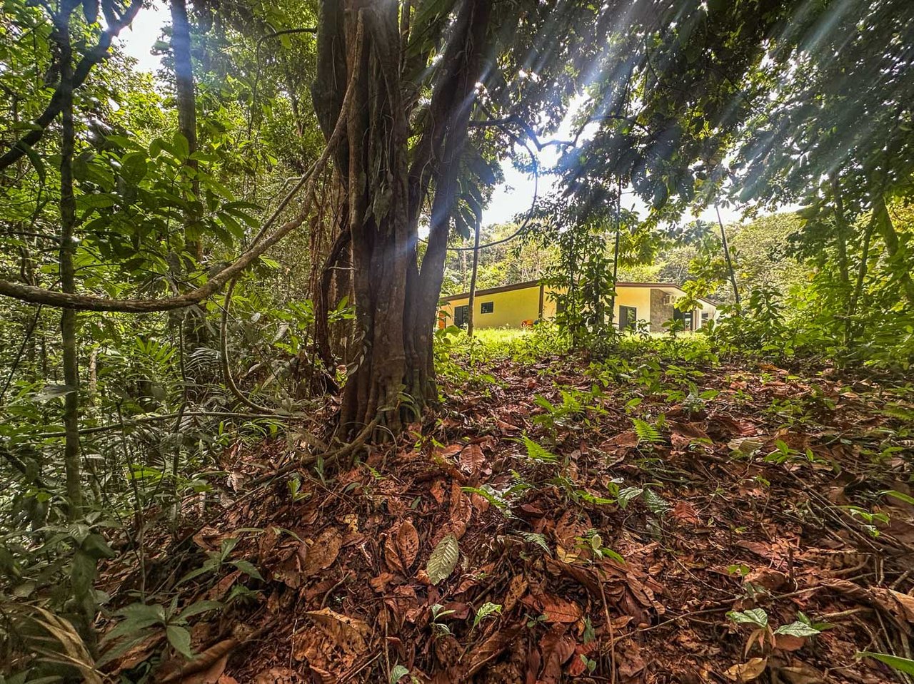 Jungle Home with Riverfront and Orchard in Ojochal Costa Rica
