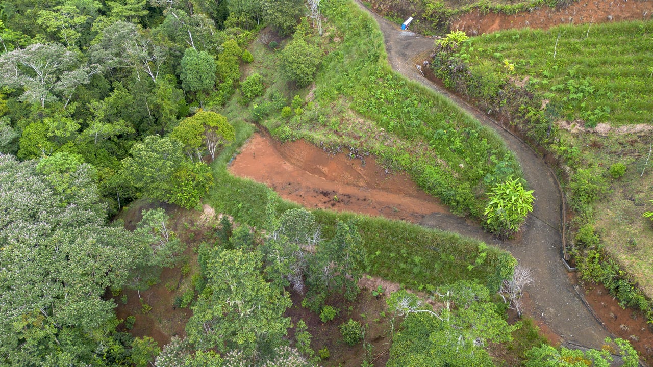 10.21 Acres with Views & Plantels – Pérez Zeledón