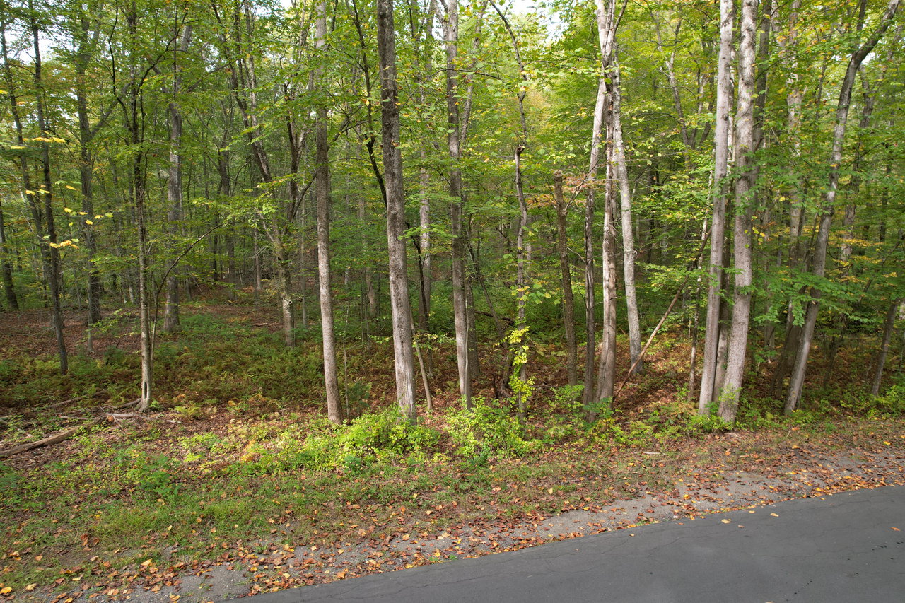 Brook Farm Road