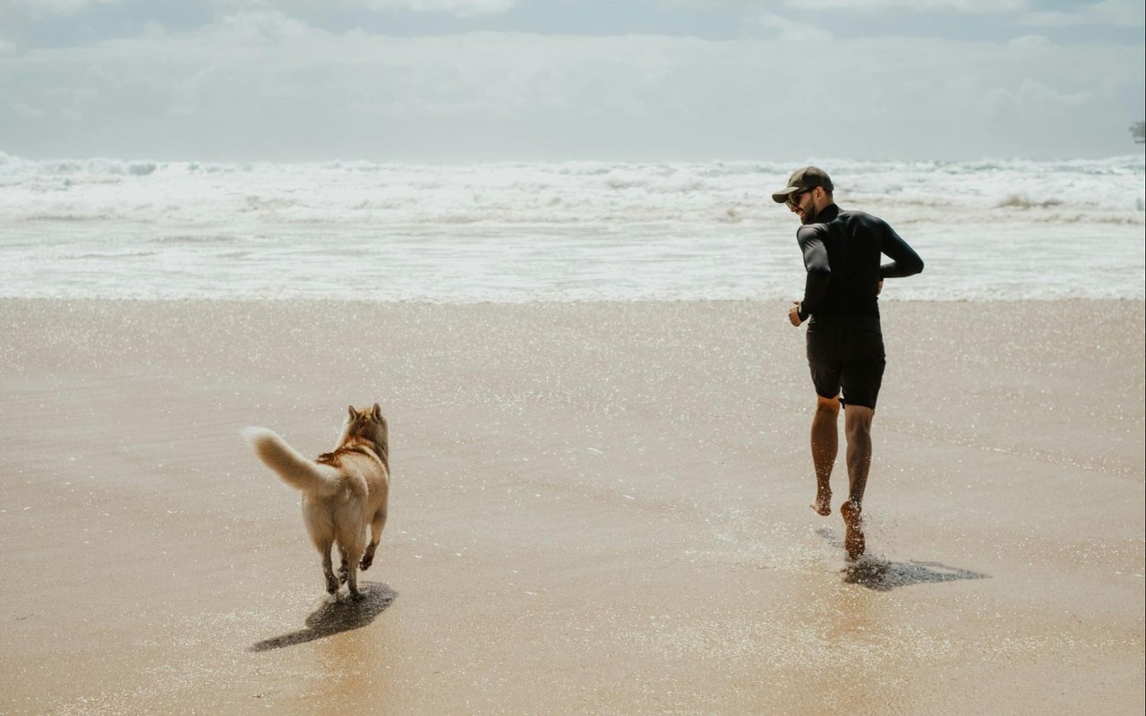 Best Ways to Stay Active in Santa Barbara, CA cover