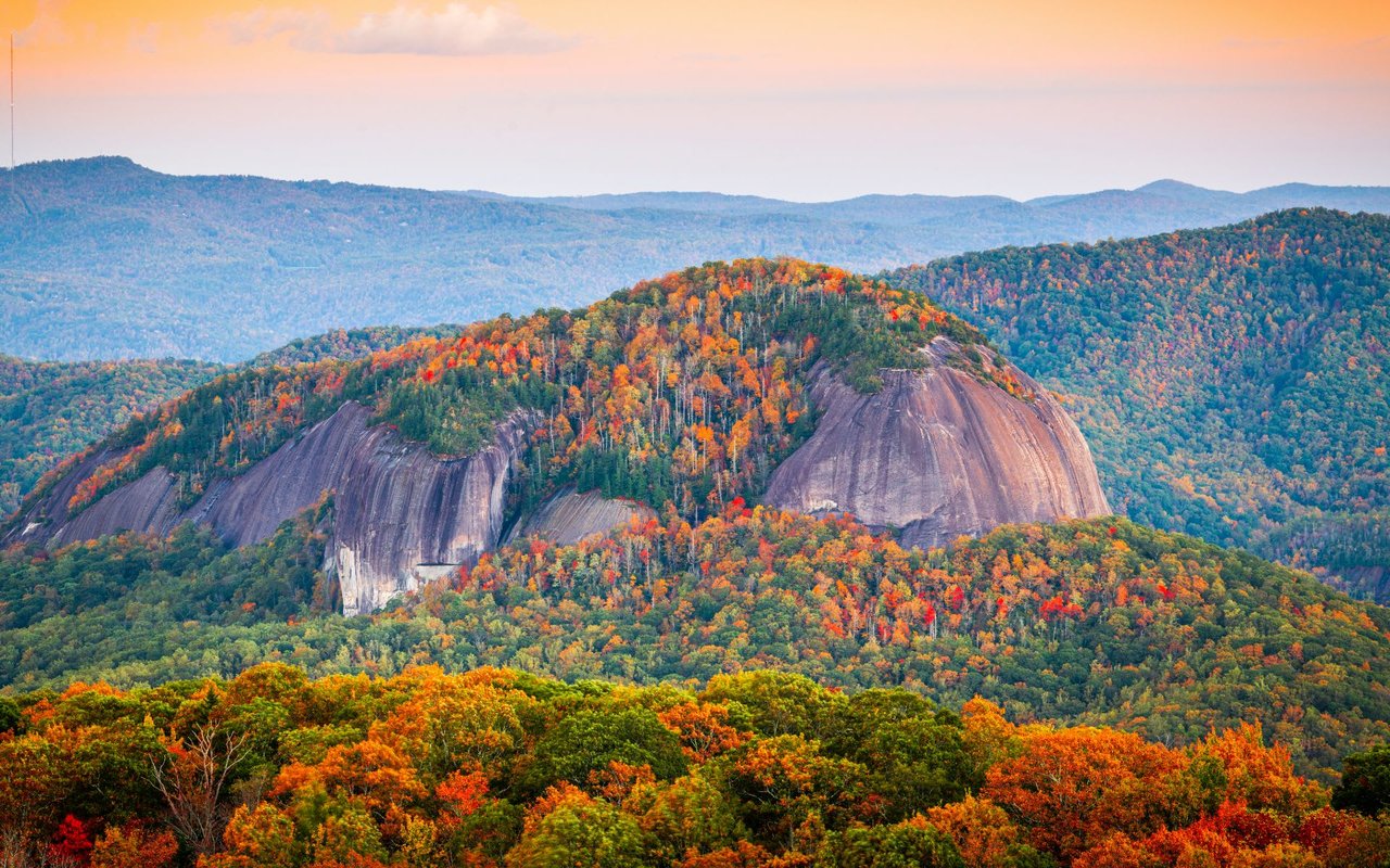 Pisgah Forest