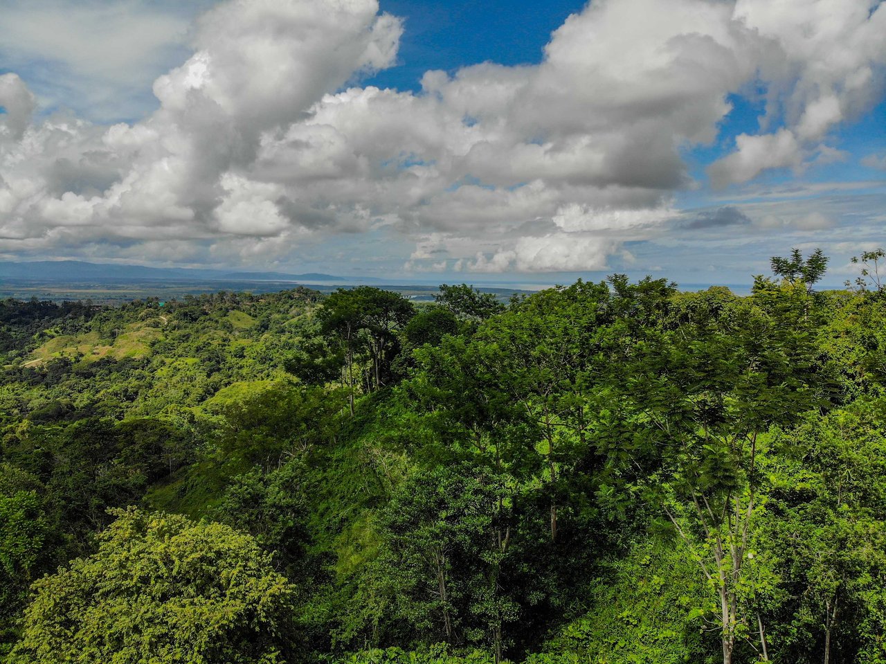 Ocean & Mountain View Half-Acre Lot in Gated Chontales Community