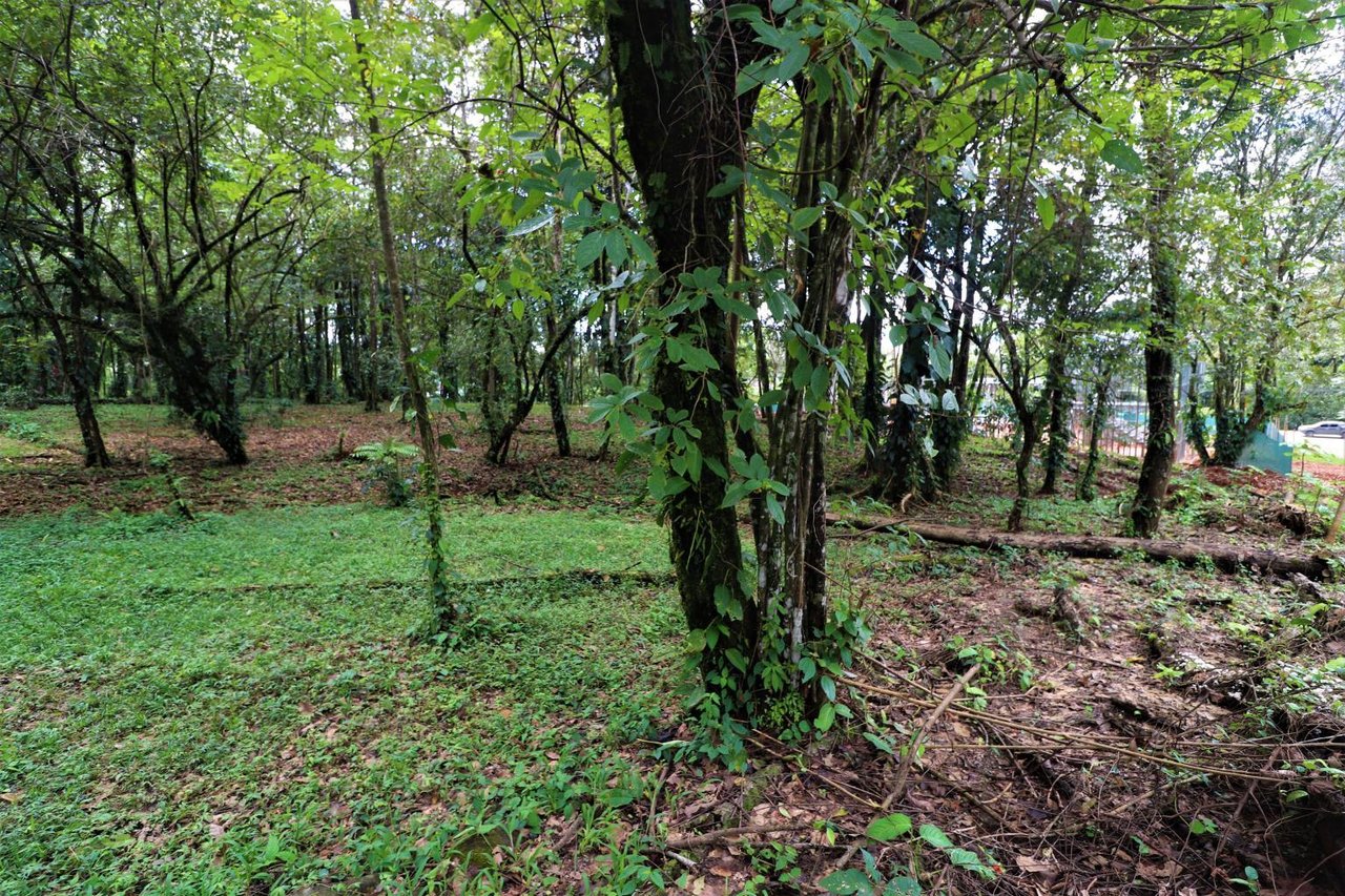 Uvita Prime Commercial Property - 5.9 acres