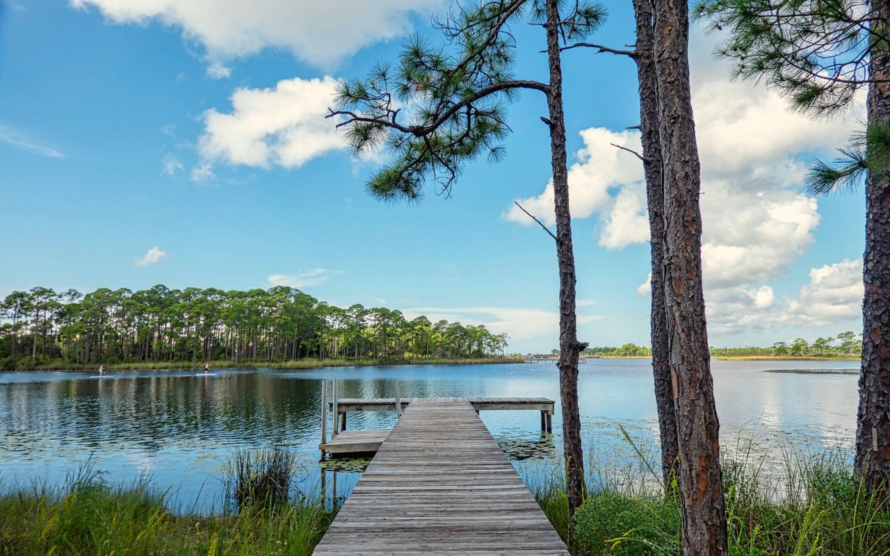 Marsh Landing