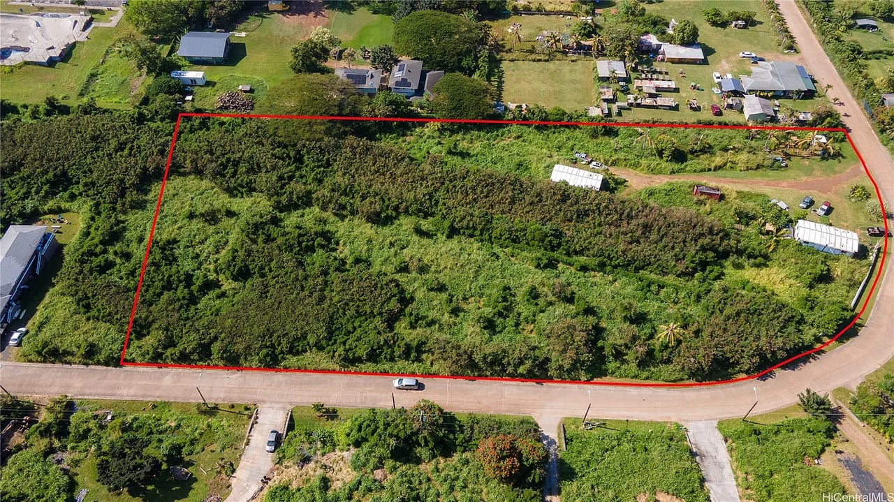 Aerial view of a densely vegetated lot outlined in red beside two roads.