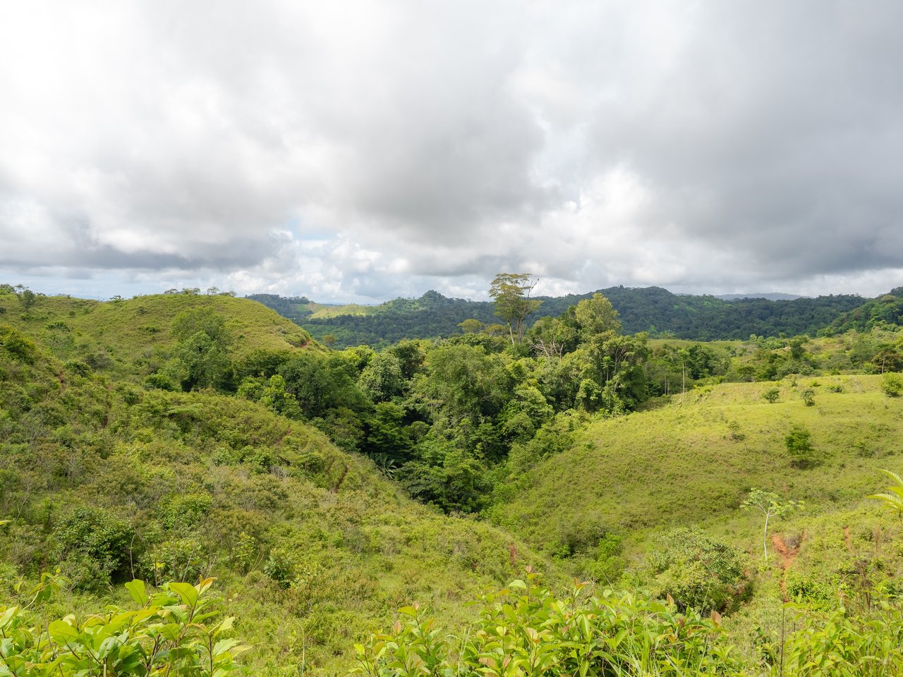 776 Hectares Prime Land in Osa | Ocean Views, Waterfalls, Rivers & Sierpe River Access