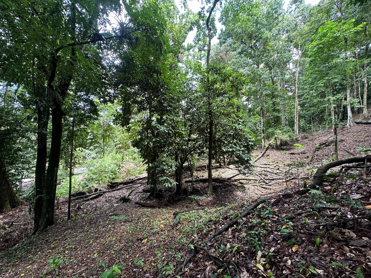 Prime 9.4-Acre Ocean View Land in Golfito