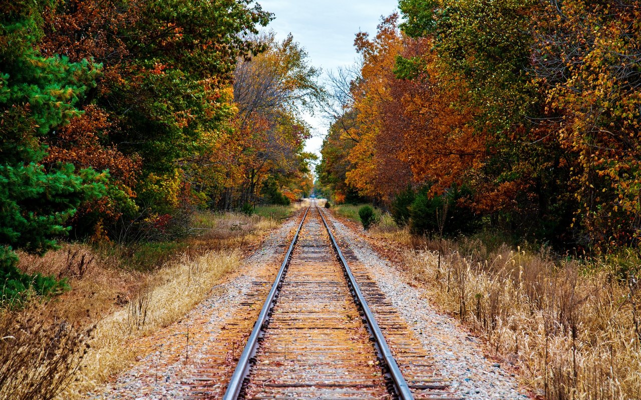 Shiawassee County