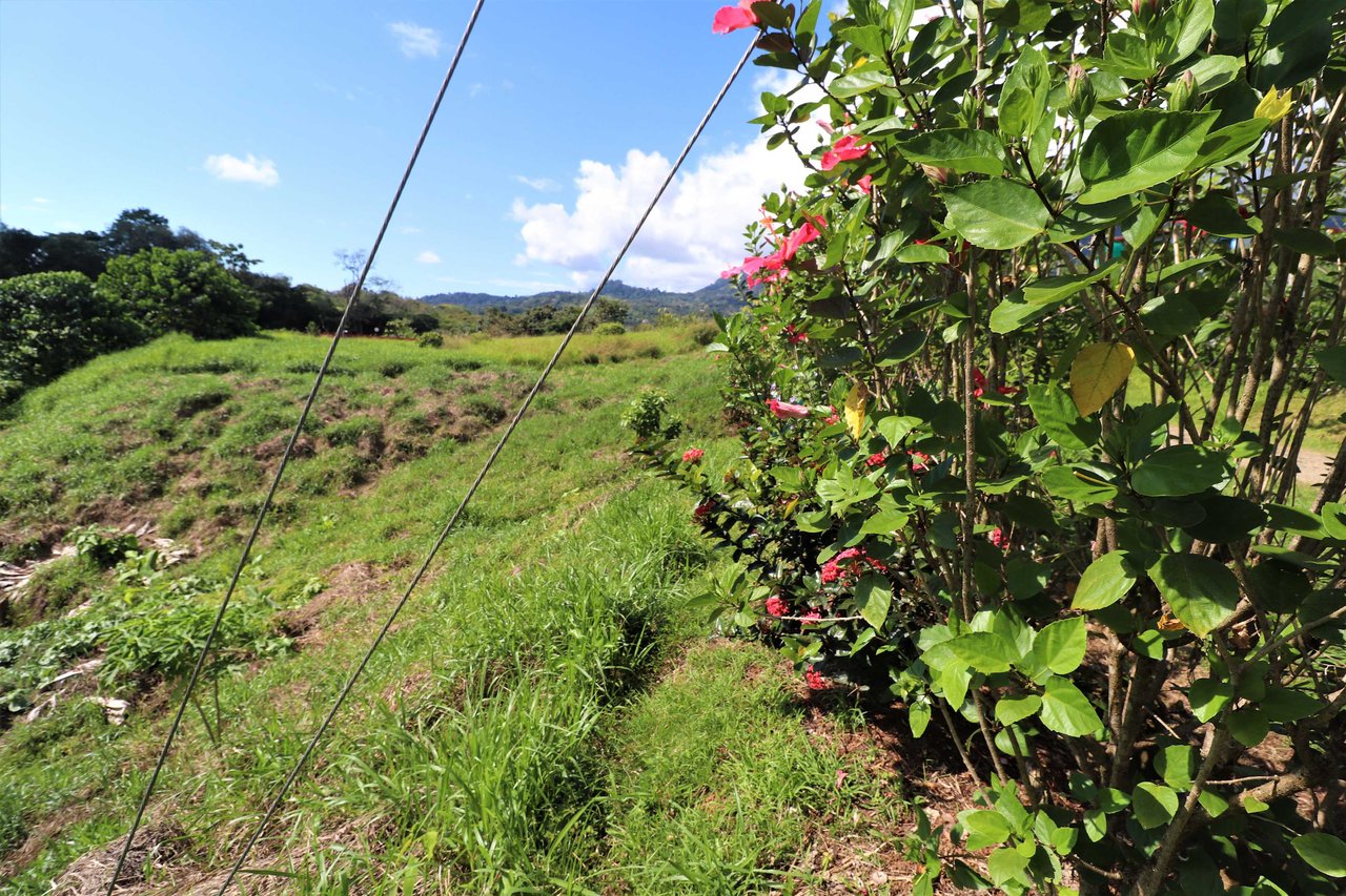 Large Mountain View Lot. 