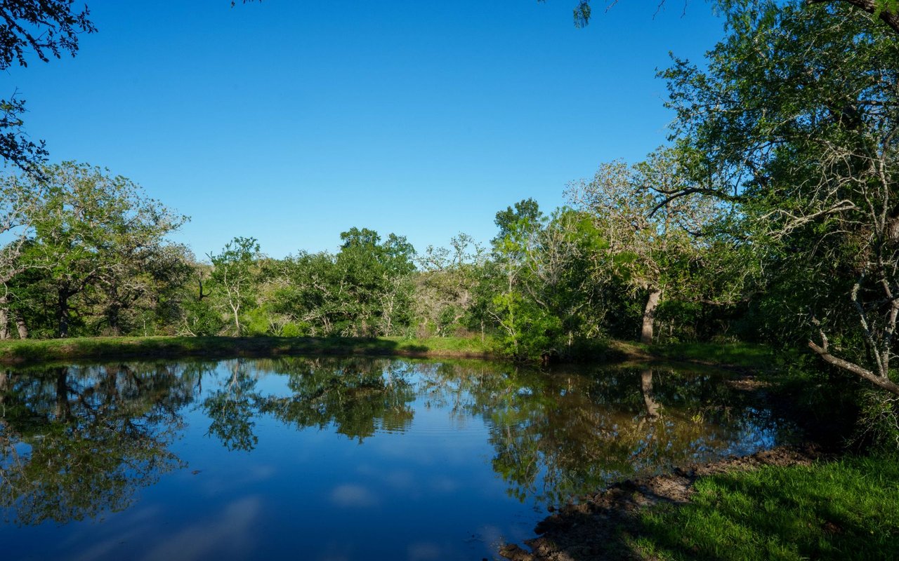 Gonzales County 100 Acres