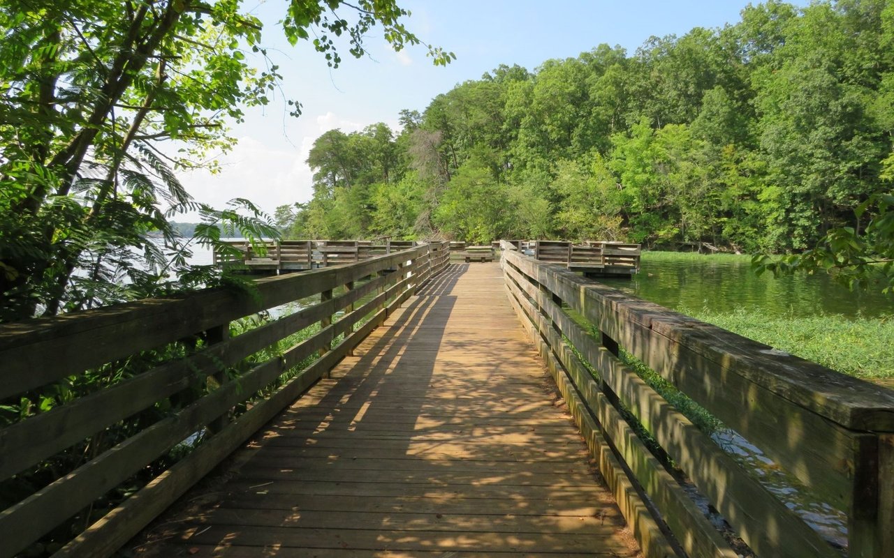 Whispering Pines