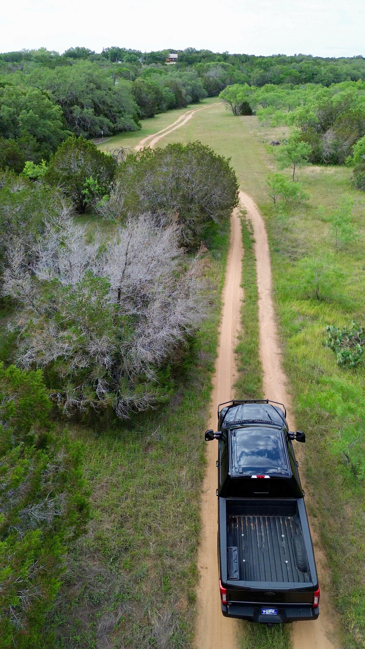 1300 Pace Bend Road North