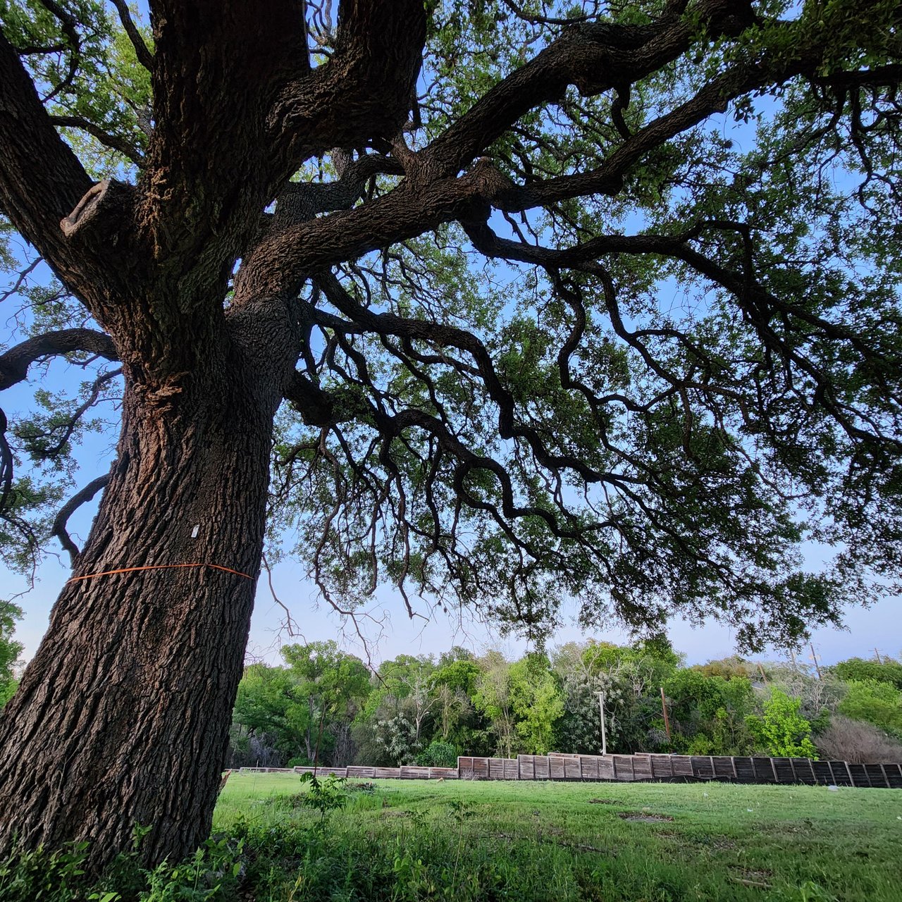 Private Greebelt lot in Georgetown