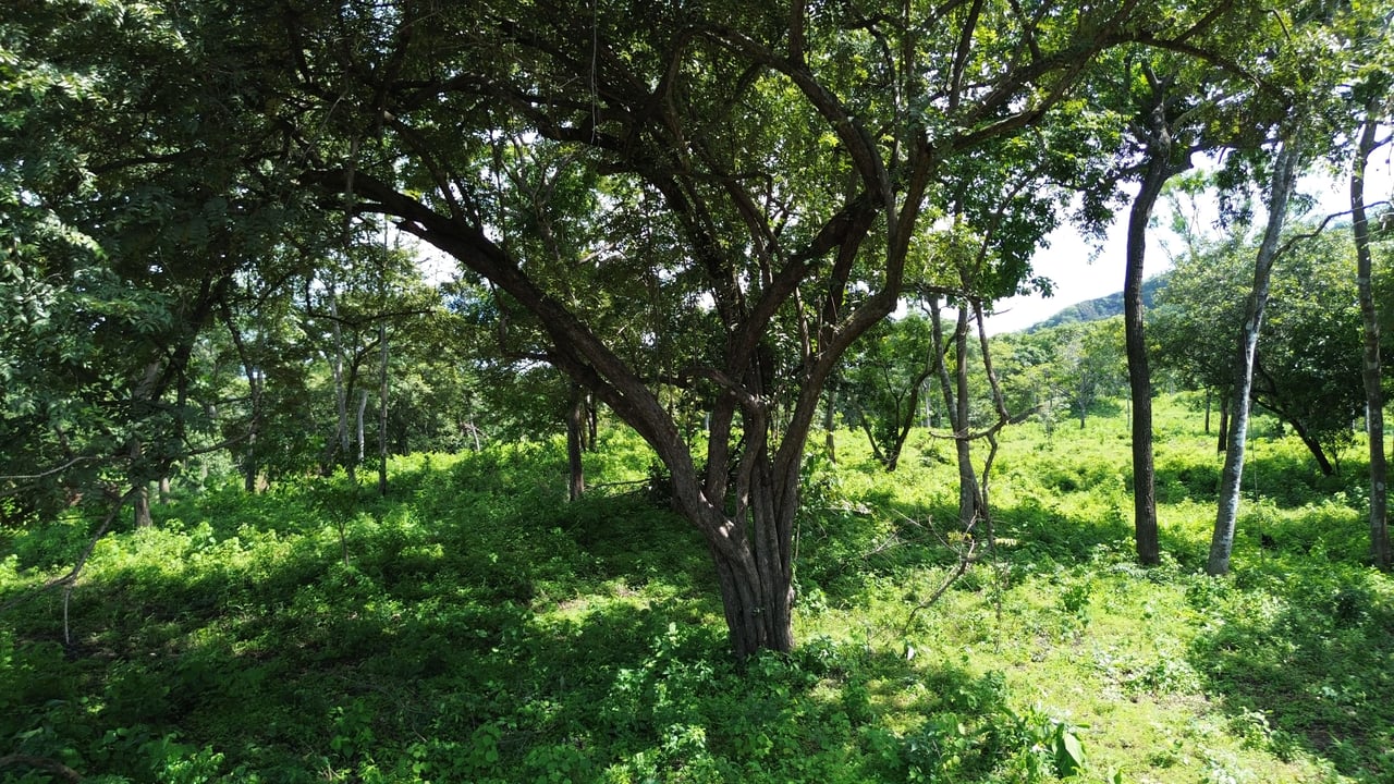 Rancho Santa Fe 