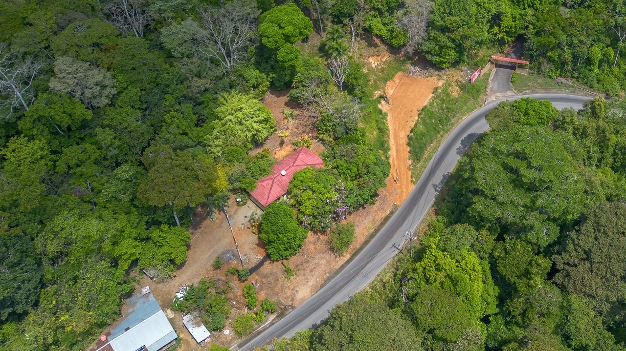 Lote con Potencial Comercial – La Palma, Pérez Zeledón