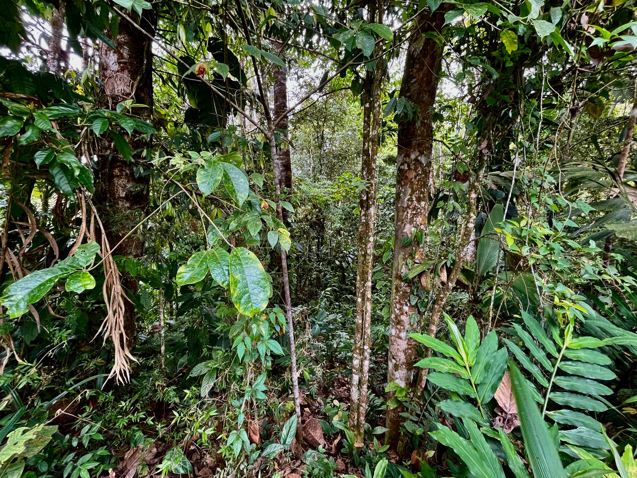 San Luis Ridgetop Ocean & Mountain View Property with Multiple Building Sites!