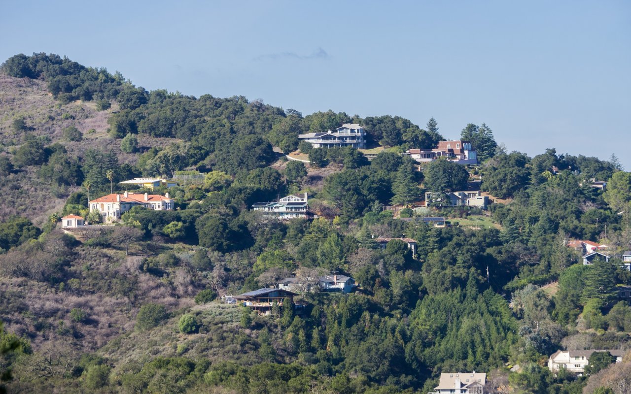 Homes dot a tree-covered hillside in Keolu Hills beneath a clear blue sky.