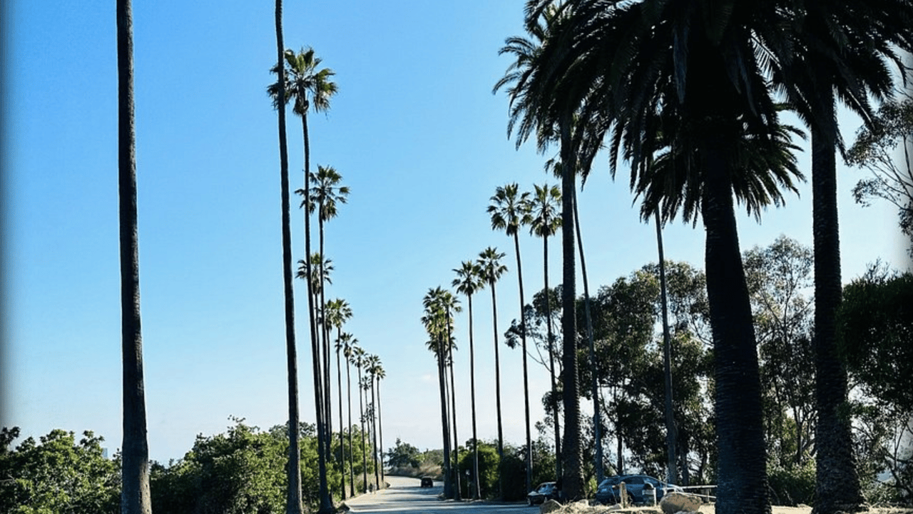Nature and Recreation in the Heart of LA: Exploring Elysian Park
