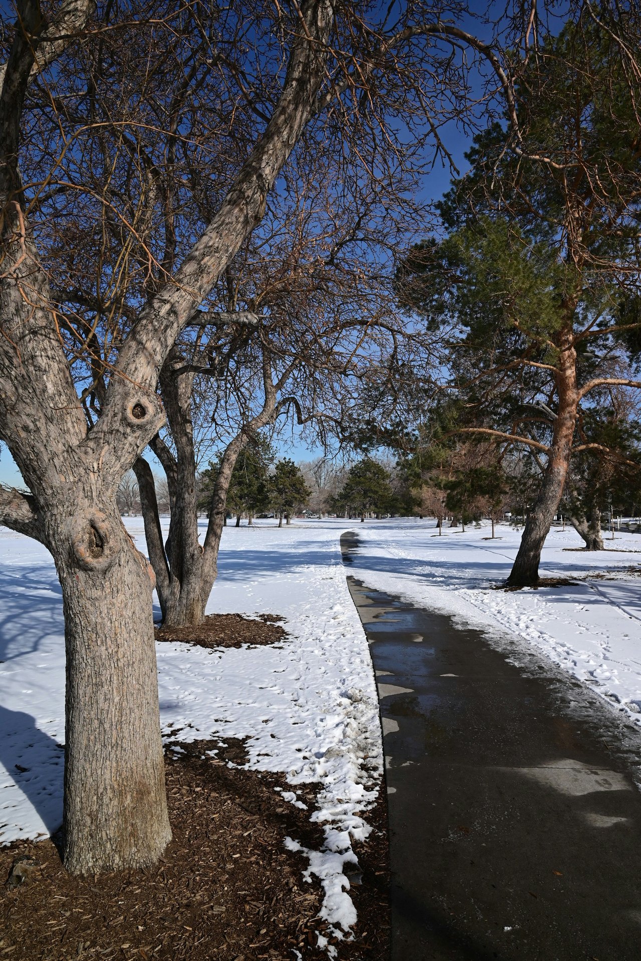 Bear Valley