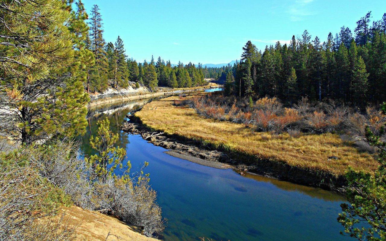 La Pine