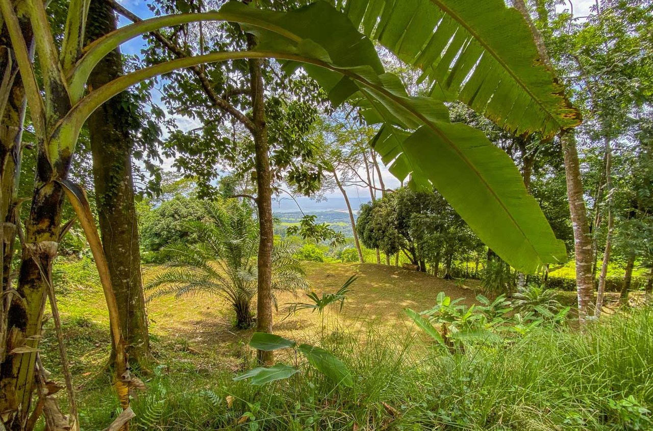 Large Uvita Lot With Whale’s Tail Ocean Views, Sunsets & Legal Water – Ready to Build!