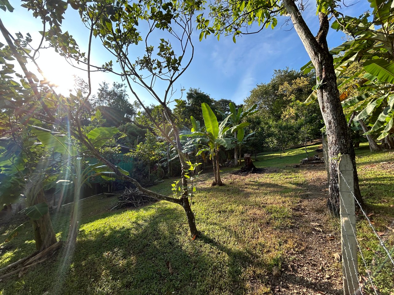 Commercial & Residential Property in Punta Mala with Producing Fruit Trees