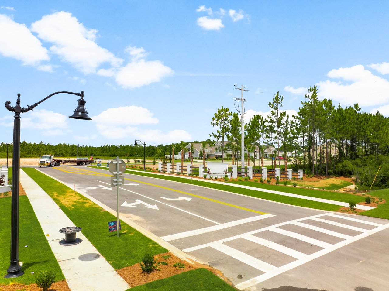 Residential community street with landscaped sidewalks, young pine trees, and homes in the background.
