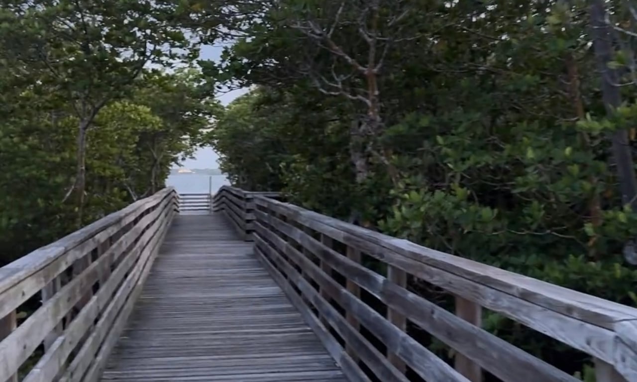 Explore Joe's River Park | Stuart, FL