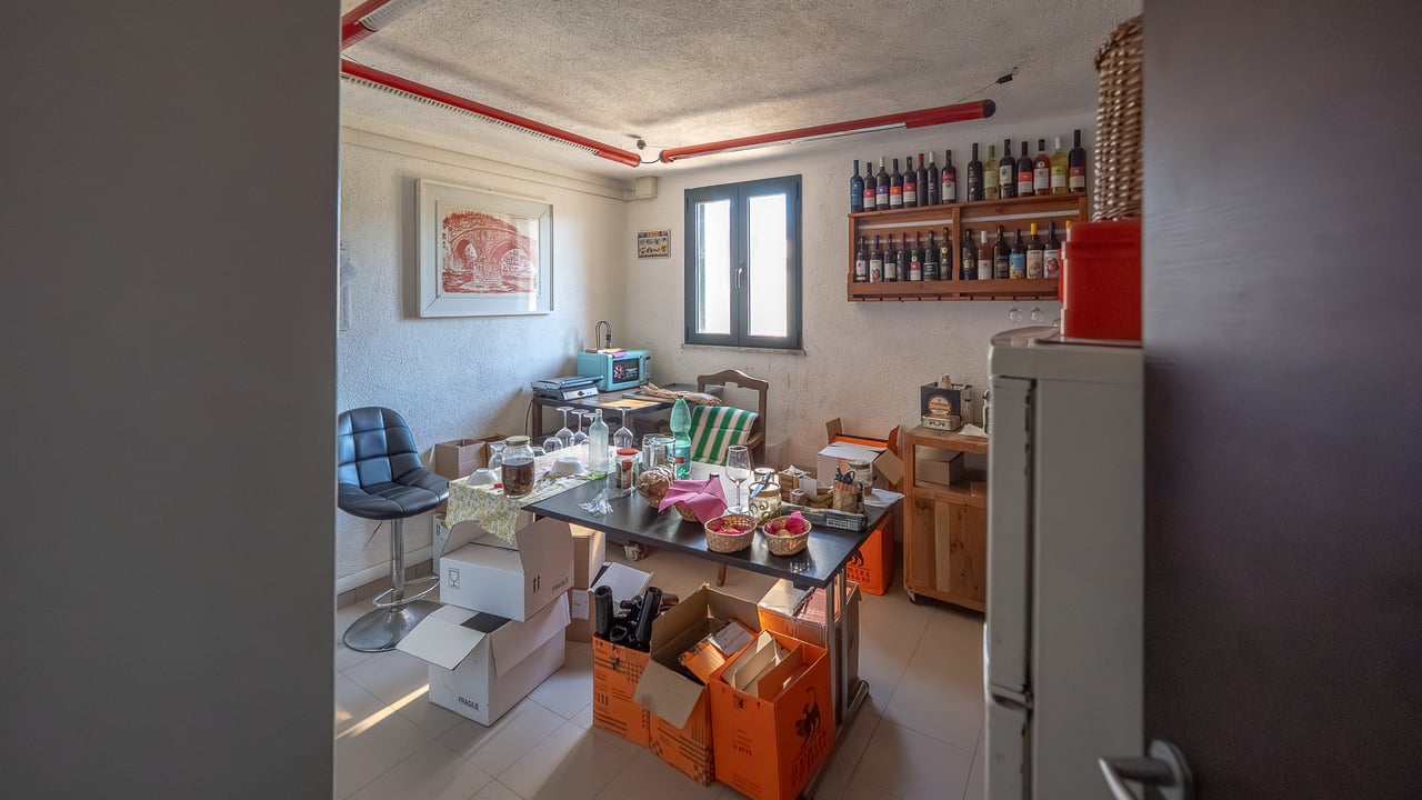 IL LEONE DEL FIORA