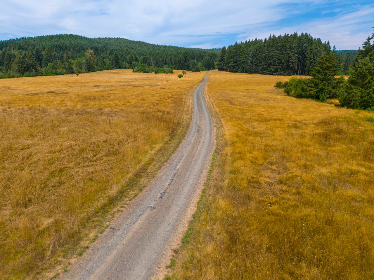 Sheffler Farm & Forest
