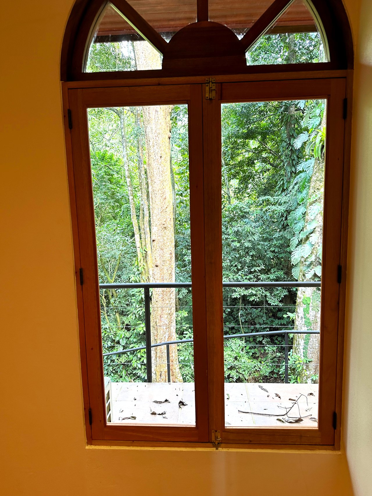 FIRE SALE! Jungle, Rivers, a Waterfall and Panoramic Ocean View