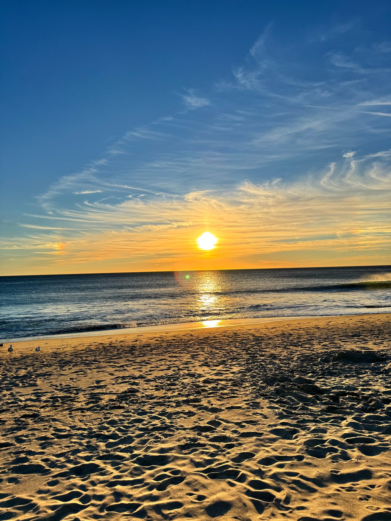 Holidays in Malibu: A Coastal Season of Light, Community, and California Magic