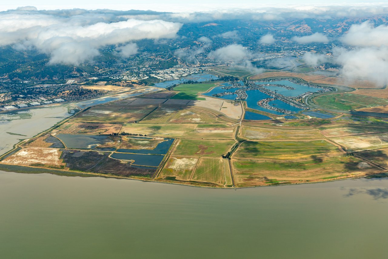 Bel Marin Keys in Winter: The Season Nobody Markets Is the One That Defines It