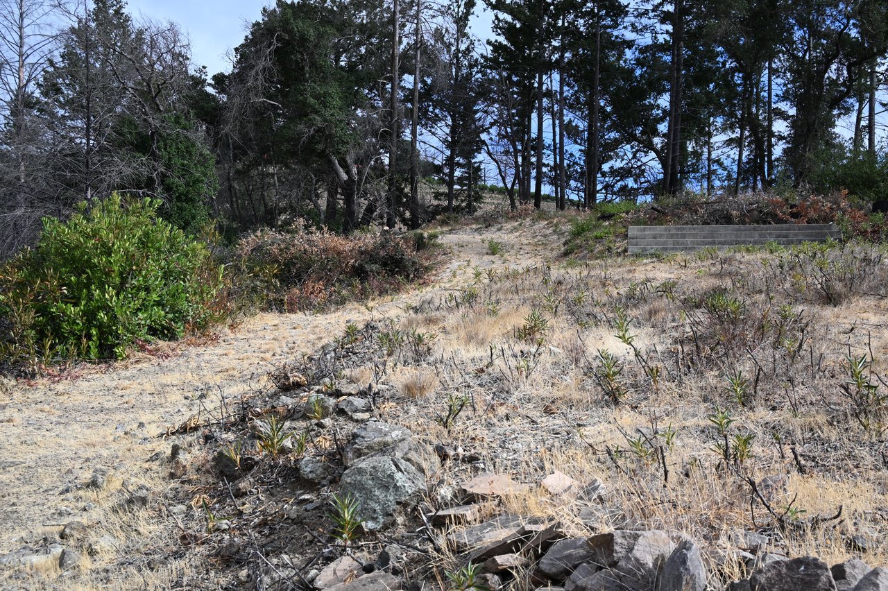 2910 Spring Mountain Rd